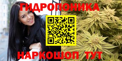 PSILOCYBIN Гусь-Хрустальный