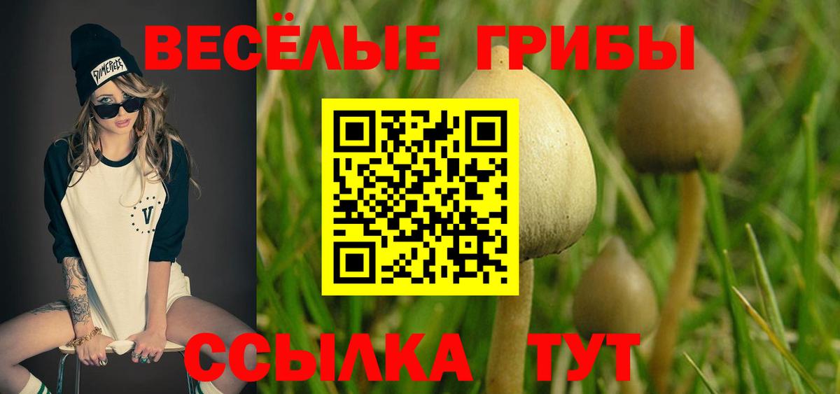 Галлюциногенные грибы мухоморы Луховицы